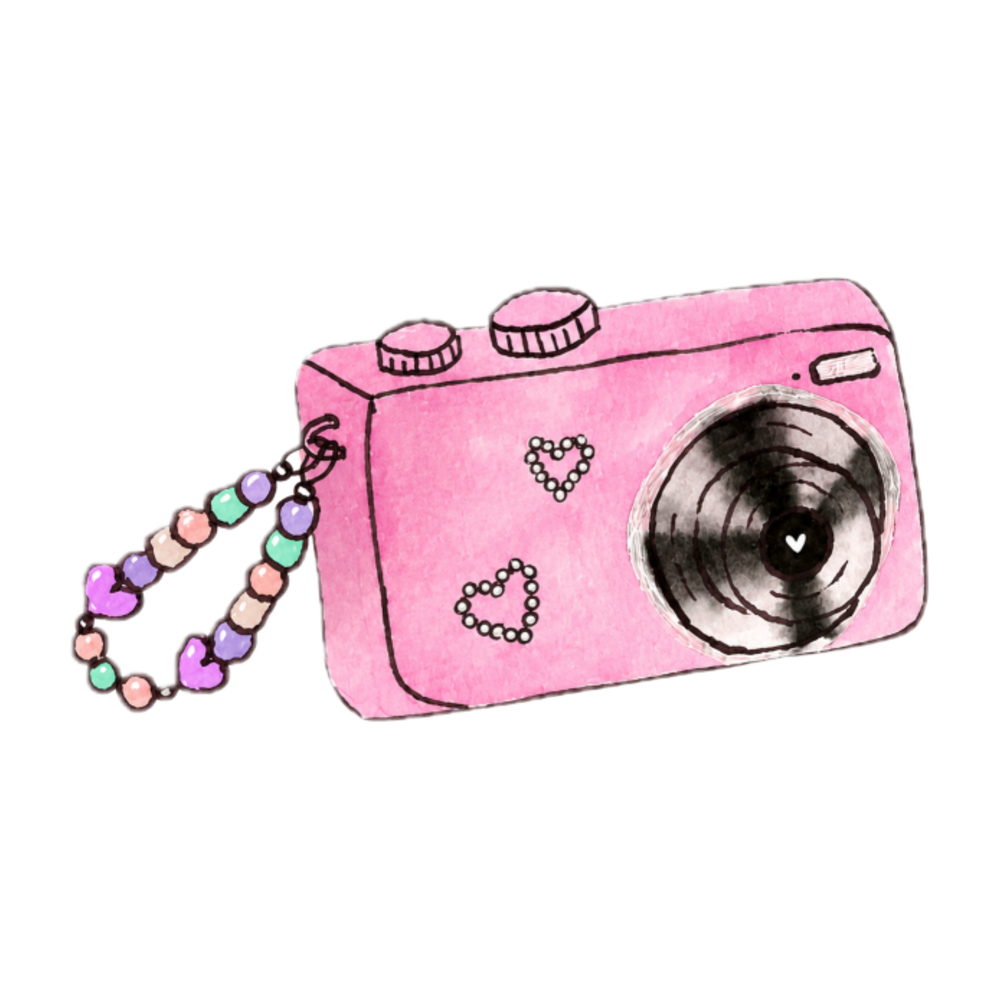 Digi Cam sticker